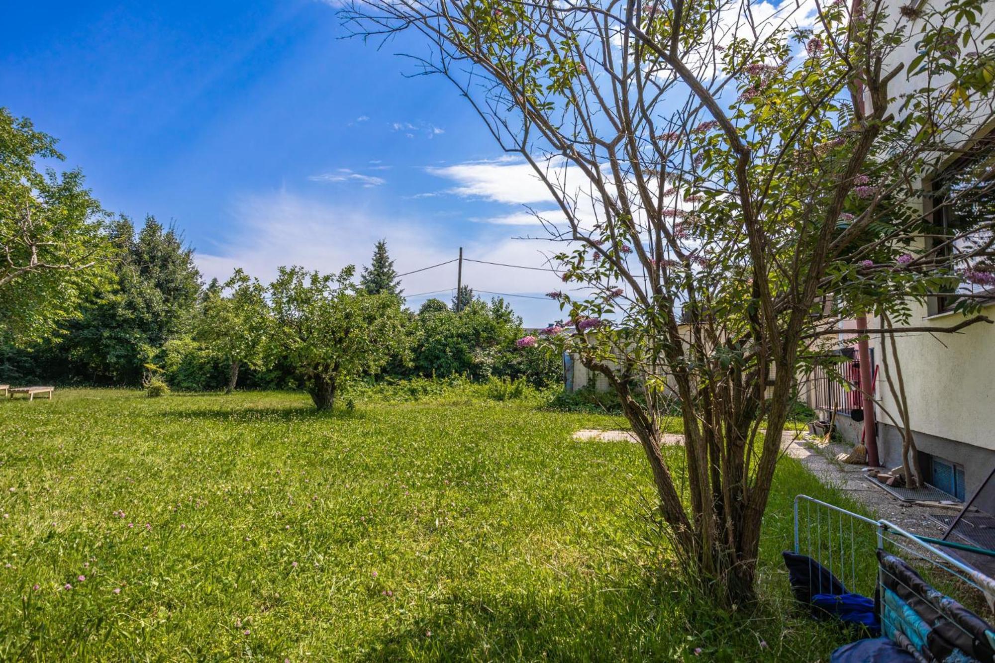 Comfy Rooms In Shared Villa With Terrace And Garden Vienna Luaran gambar